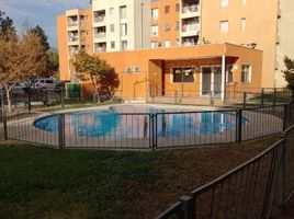 3 Habitación Apartamento en alquiler en Restaurante Tierra Norteña, Machali, Machali