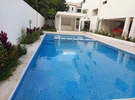 푸에르토 모렐 로스, Quintana RooPropertyTypeNameBedroom, 푸에르토 모렐 로스