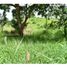  Land for sale in Turbaco, Bolivar, Turbaco