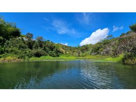  Terreno (Parcela) en venta en Penol, Antioquia, Penol