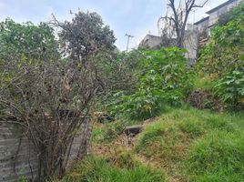  Terreno (Parcela) en venta en Tlalpan, Ciudad de México, Tlalpan