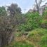  Land for sale in Tlalpan, Mexico City, Tlalpan