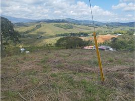  Terreno (Parcela) en venta en Calima, Valle Del Cauca, Calima