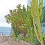  Grundstück zu verkaufen in Tijuana, Baja California, Tijuana