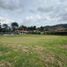  Land for sale in La Ceja, Antioquia, La Ceja