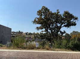  Grundstück zu verkaufen in Morelia, Michoacan, Morelia