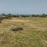  Land for sale in Rivera, Huila, Rivera