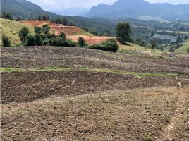  Terreno (Parcela) en venta en La Union De Sucre, Antioquia, La Union De Sucre