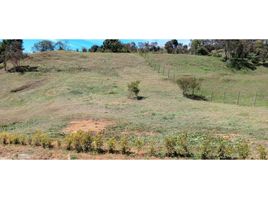  Terrain for sale in Guarne, Antioquia, Guarne