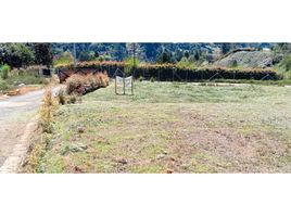  Land for sale in Guarne, Antioquia, Guarne