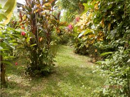 3 Schlafzimmer Haus zu verkaufen in Boquete, Chiriqui, Jaramillo