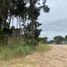  Land for sale in Pinamar, Buenos Aires, Pinamar