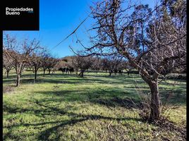  Terreno (Parcela) en venta en Chile, La Estrella, Cardenal Caro, Libertador General Bernardo O'Higgins, Chile