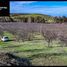  Terreno (Parcela) en venta en Chile, La Estrella, Cardenal Caro, Libertador General Bernardo O'Higgins, Chile