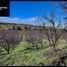  Terreno (Parcela) en venta en Chile, La Estrella, Cardenal Caro, Libertador General Bernardo O'Higgins, Chile