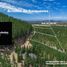  Terreno (Parcela) en venta en Chile, Cauquenes, Cauquenes, Maule, Chile