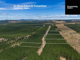  Terreno (Parcela) en venta en Chile, Cauquenes, Cauquenes, Maule, Chile