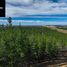  Terreno (Parcela) en venta en Chile, Cauquenes, Cauquenes, Maule, Chile