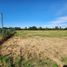  Terreno (Parcela) en venta en Chile, Los Angeles, Biobío, Biobío, Chile
