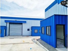 Studio House for rent in Chile, Los Angeles, Biobío, Biobío, Chile