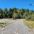  Land for sale in Chile, Cochamo, Llanquihue, Los Lagos, Chile