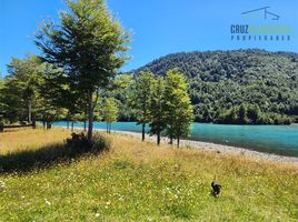  Land for sale in Chile, Cochamo, Llanquihue, Los Lagos, Chile