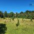  Land for sale in Chile, Cochamo, Llanquihue, Los Lagos, Chile