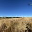  Land for sale in Chile, Puerto Montt, Llanquihue, Los Lagos, Chile