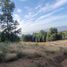  Terreno (Parcela) en venta en Chile, Villarrica, Cautín, Araucanía, Chile