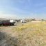 Land for rent in Chile, San Jode De Maipo, Cordillera, Santiago, Chile