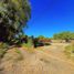  Terreno (Parcela) en venta en Maule, San Clemente, Talca, Maule