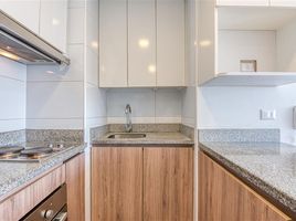 1 Bedroom Apartment for rent in Chile, Santiago, Santiago, Santiago, Chile