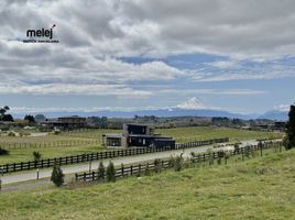  Land for sale in Chile, Puerto Varas, Llanquihue, Los Lagos, Chile