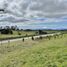  Land for sale in Chile, Puerto Varas, Llanquihue, Los Lagos, Chile