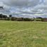  Land for sale in Chile, Puerto Varas, Llanquihue, Los Lagos, Chile