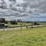  Land for sale in Chile, Puerto Varas, Llanquihue, Los Lagos, Chile