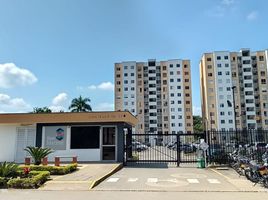 3 Habitación Apartamento en alquiler en Jamundi, Valle Del Cauca, Jamundi