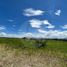  Land for sale in Acatlan De Juarez, Jalisco, Acatlan De Juarez