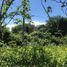  Land for sale in Villa Corona, Jalisco, Villa Corona