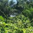 Land for sale in Villa Corona, Jalisco, Villa Corona