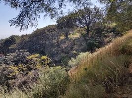  Land for sale in Zapopan, Jalisco, Zapopan, Jalisco