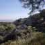  Land for sale in Zapopan, Jalisco, Zapopan, Jalisco
