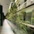 30 m² Office for rent in Zapopan, Jalisco, Zapopan