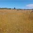  Terreno (Parcela) en venta en Chile, Castro, Chiloé, Los Lagos, Chile
