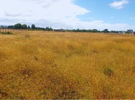  Terreno (Parcela) en venta en Chile, Castro, Chiloé, Los Lagos, Chile