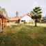  Land for sale in Maipo, Santiago, Paine, Maipo