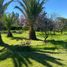 3 chambre Maison for sale in Isla De Maipo, Talagante, Isla De Maipo