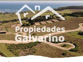  Terreno (Parcela) en venta en Cardenal Caro, Libertador General Bernardo O'Higgins, Navidad, Cardenal Caro