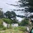  Land for sale in Chile, Puchuncavi, Valparaiso, Valparaiso, Chile