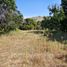  Terreno (Parcela) en venta en Chile, Puchuncavi, Valparaíso, Valparaíso, Chile
